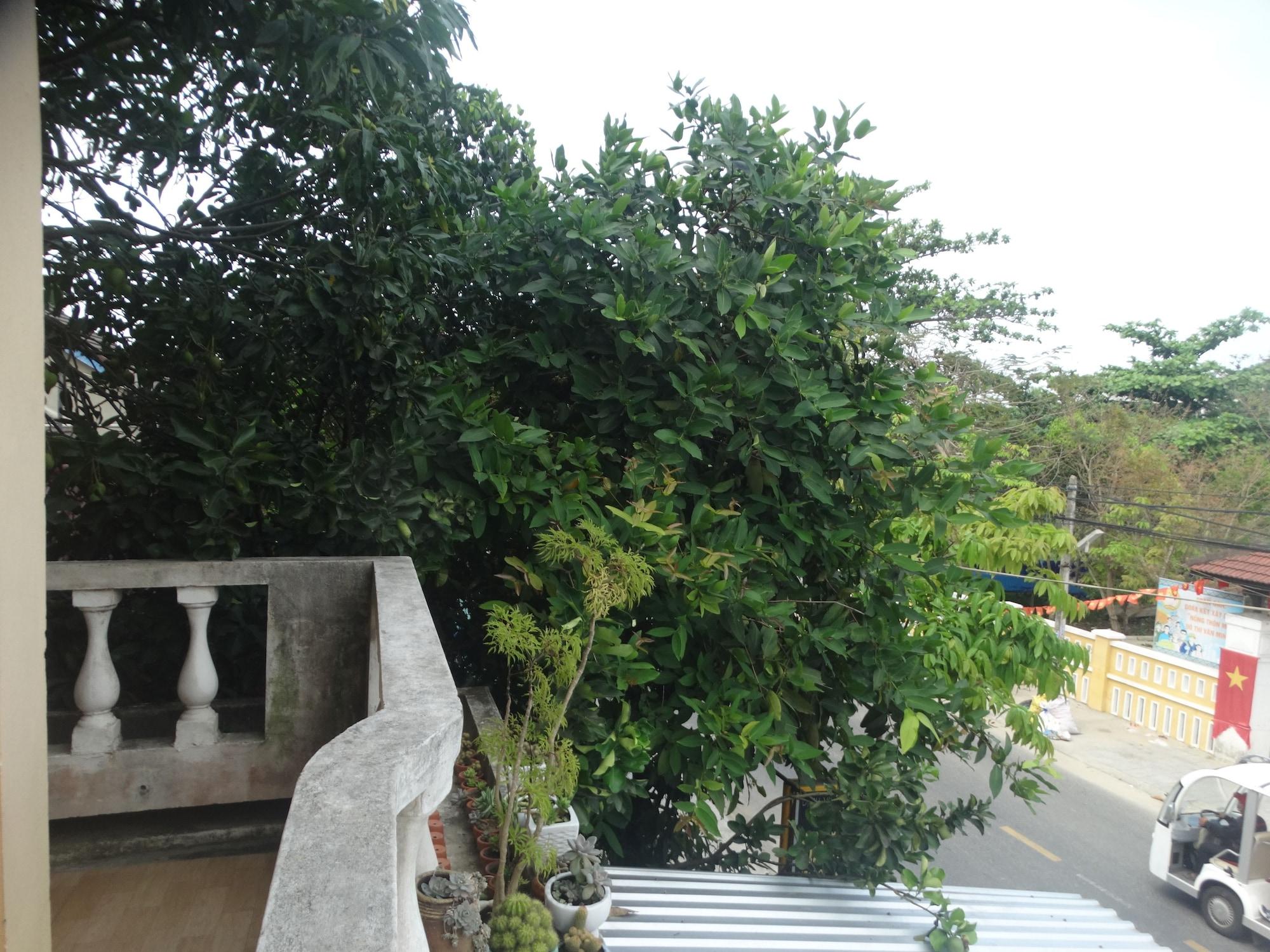 Yellow House Homestay Hoi An Esterno foto